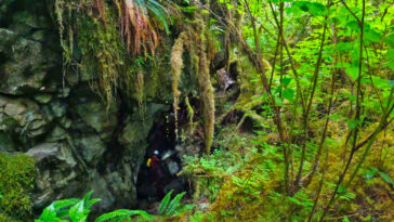 Les sédiments de grottes de 20 000 ans sur l'île d'Alaska fournissent de nouveaux indices climatiques