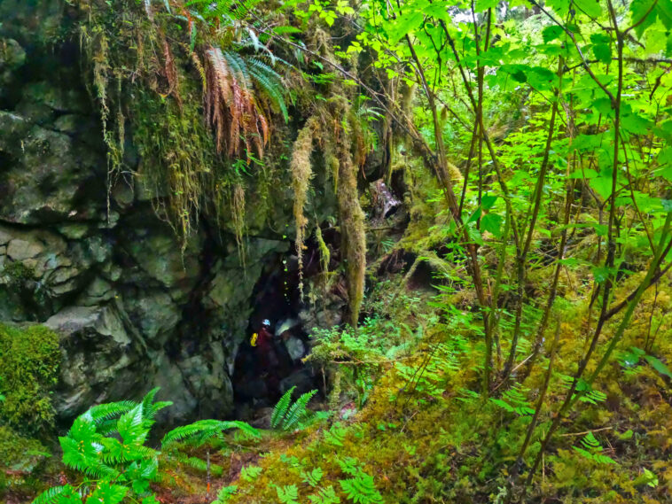 Les sédiments de grottes de 20 000 ans sur l'île d'Alaska fournissent de nouveaux indices climatiques