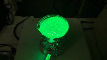 Les structures artificielles en forme de cellules imitent l'auto-représentation et la libération des spores polymères