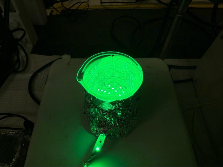 Les structures artificielles en forme de cellules imitent l'auto-représentation et la libération des spores polymères