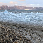 Les surtensions d'algues peuvent modifier la dynamique du carbone de l'Arctique