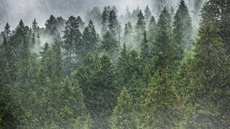 Les taches de vie à ciel peuvent influencer les modèles de précipitations Les taches de vie à ciel peuvent influencer les modèles de précipitations