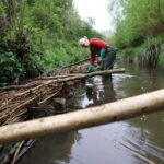 Les villes britanniques exploitent la nature pour lutter contre l'augmentation des risques d'inondation Les villes britanniques exploitent la nature pour lutter contre l'augmentation des risques d'inondation