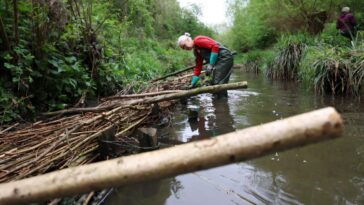 Les villes britanniques exploitent la nature pour lutter contre l'augmentation des risques d'inondation