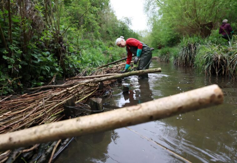 Les villes britanniques exploitent la nature pour lutter contre l'augmentation des risques d'inondation