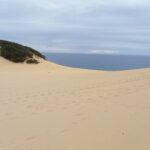 Microbial «Gatekekeeping» du phosphore trouvé au centre d'études explorant 700 000 ans de littoral emblématique