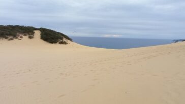 Microbial «Gatekekeeping» du phosphore trouvé au centre d'études explorant 700 000 ans de littoral emblématique