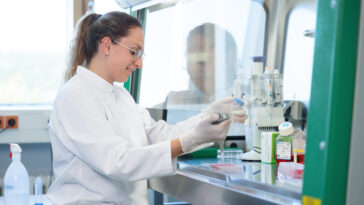 Moins amer, tout comme le rassasage - les hydrolyzates de protéines de pois fournissent des résultats surprenants