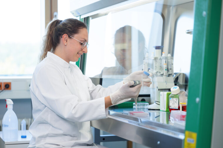 Moins amer, tout comme le rassasage - les hydrolyzates de protéines de pois fournissent des résultats surprenants