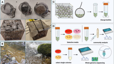 Nouvelle méthode pour surveiller la pollution des eaux usées dans les rivières