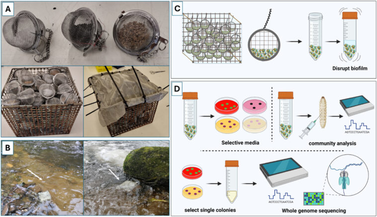 Nouvelle méthode pour surveiller la pollution des eaux usées dans les rivières
