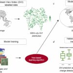 Où les rues vertes étaient: suivre la végétation urbaine mondiale