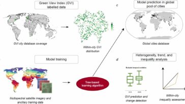 Où les rues vertes étaient: suivre la végétation urbaine mondiale