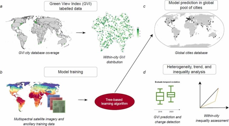 Où les rues vertes étaient: suivre la végétation urbaine mondiale