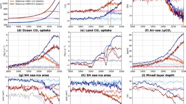 Pas de poisson, de baleines ou de plancton: un océan sans vie absorbera moins d'émissions de carbone et accélérera le changement climatique