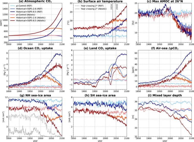 Pas de poisson, de baleines ou de plancton: un océan sans vie absorbera moins d'émissions de carbone et accélérera le changement climatique