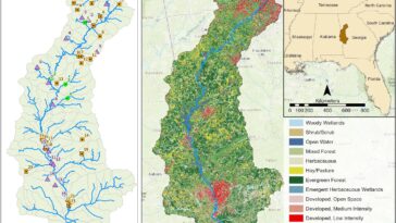 Perte forestière pour les fermes et les villes liées à la baisse de la qualité de l'eau potable