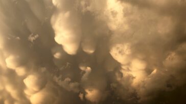 Polique une semaine, poussiéreuse la suivante - comment une tempête de poussière a-t-elle fait le chemin vers Sydney pluvieux?