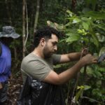 Que se passerait-il si la forêt amazonienne séchait? Cette expérience de plusieurs décennies a des réponses
