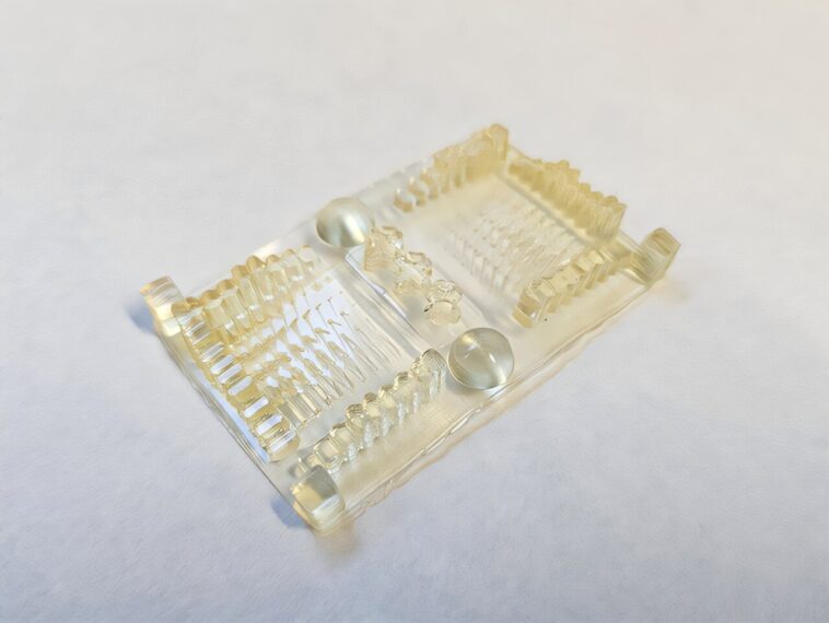 Résines d'impression 3D durables développées à partir de matériaux à base de plantes Résines d'impression 3D durables développées à partir de matériaux à base de plantes