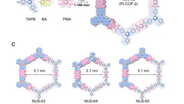 Synthèse micro-ondes assistée par l'eau de matériaux cof poreux pour les batteries au lithium-ion