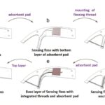 Un fil dentaire qui peut mesurer le stress Un fil dentaire qui peut mesurer le stress