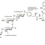 Un glycopeptide avec une touche: un candidat antibiotique prometteur offre un nouvel espoir contre les superbacient