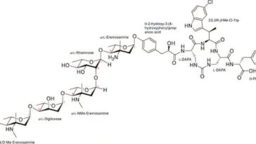 Un glycopeptide avec une touche: un candidat antibiotique prometteur offre un nouvel espoir contre les superbacient