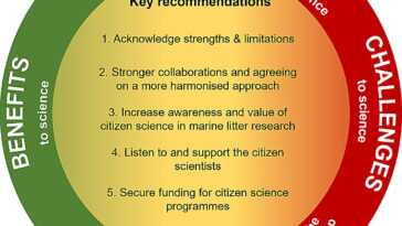 Un modèle mondial pour aider à améliorer les nettoyages de la plage et à protéger la vie marine