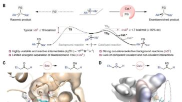 Un nouveau catalyseur permet des réactions radicales asymétriques à l'aide d'un ligand d'ingénierie
