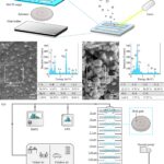Un nouvel outil pratique détecte les nanoplastiques et les microplastiques dans l'environnement