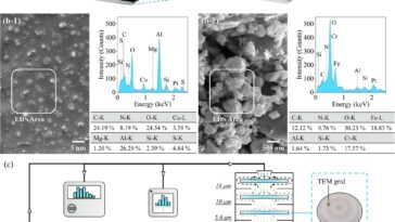 Un nouvel outil pratique détecte les nanoplastiques et les microplastiques dans l'environnement
