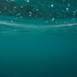 Un volcan sous-marin mystérieux et très actif près de la Californie pourrait éclater plus tard en 2025: ce que les scientifiques attendent