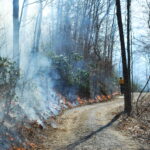 Une nouvelle «géographie du feu» définit le risque de forêt du sud des États-Unis