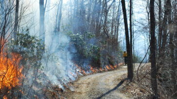Une nouvelle «géographie du feu» définit le risque de forêt du sud des États-Unis