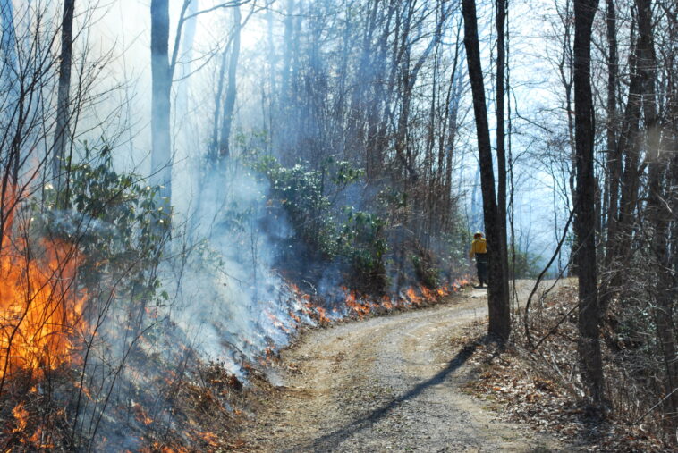 Une nouvelle «géographie du feu» définit le risque de forêt du sud des États-Unis