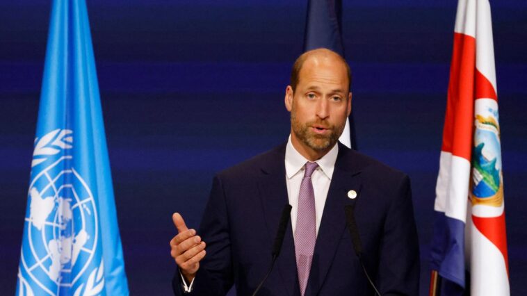 Le prince William prononce un discours inquiétant sur l'impact humain sur les océans du monde