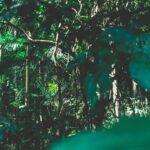 Alors que le climat des Nations Unies à tisser, la forêt amazonienne du Brésil perd en mai une zone plus grande que New York