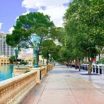 Analyse détaillée des avantages et compromis des arbres de rue urbains à Las Vegas