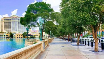 Analyse détaillée des avantages et compromis des arbres de rue urbains à Las Vegas