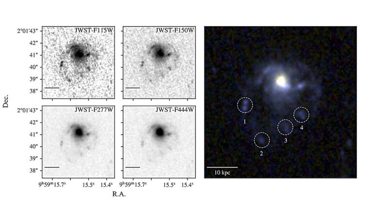 Attraper une méduse dans le ciel: la nouvelle galaxie découverte avec le télescope spatial James Webb