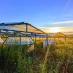 Certaines études peuvent ne pas peindre un tableau complet de la façon dont les plantes réagissent au changement climatique