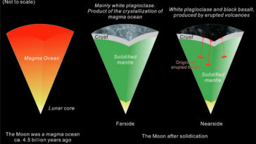 Dans la trace réside la vérité: les halogènes et le sort de la croûte lunaire