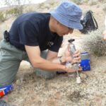 Desert Lichen offre de nouvelles preuves de la possibilité de la vie sur d'autres planètes Desert Lichen offre de nouvelles preuves de la possibilité de la vie sur d'autres planètes