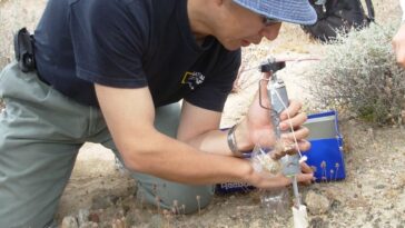 Desert Lichen offre de nouvelles preuves de la possibilité de la vie sur d'autres planètes