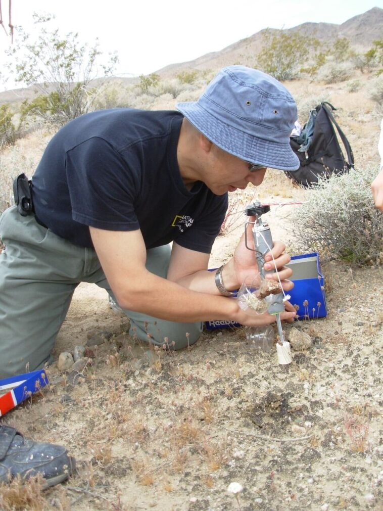 Desert Lichen offre de nouvelles preuves de la possibilité de la vie sur d'autres planètes Desert Lichen offre de nouvelles preuves de la possibilité de la vie sur d'autres planètes