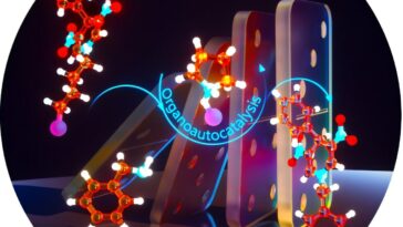 Élimination des catalyseurs externes pour la synthèse durable des biomolécules et des produits pharmaceutiques