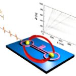 Exploitation de magnons pour le traitement de l'information quantique