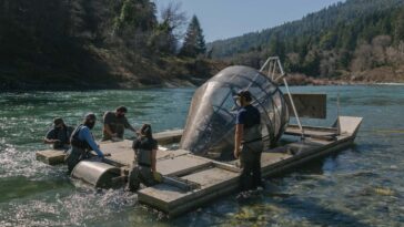 New Scientist. Science news and long reads from expert journalists, covering developments in science, technology, health and the environment on the website and the magazine.