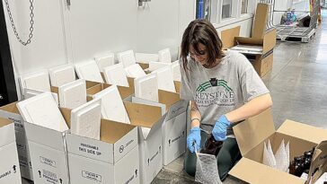 `` Forever Chemicals '' détecté dans 65% des puits privés échantillonnés en Pennsylvanie